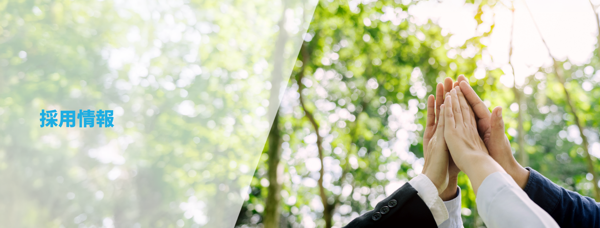 採用情報